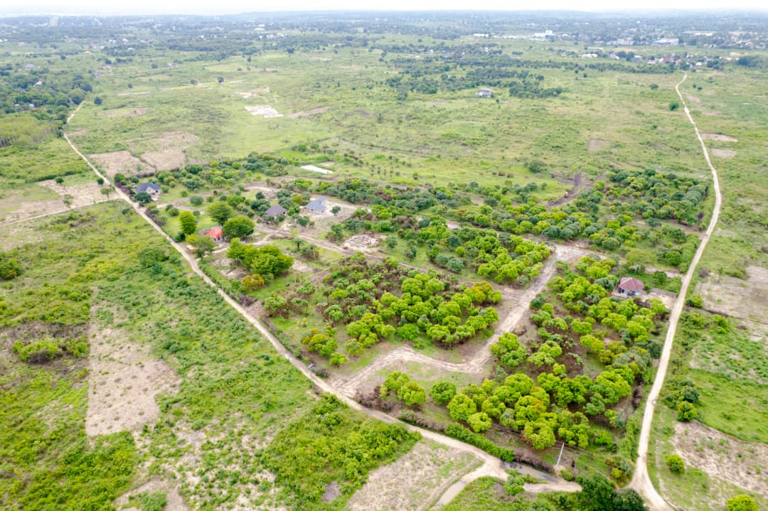 Bagamoyo Project
